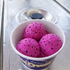 Ejder Meyvesi Sorbe (TOP)