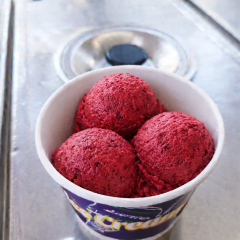 Kızılcık Sorbe (TOP)